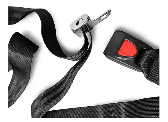 67062c4068712_pasy-do-noszy