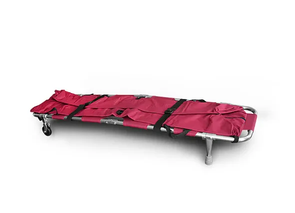 65f45db260665_bordo-z-sakwą5